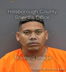 Mugshot of DALBERTO MENA SCHUEG