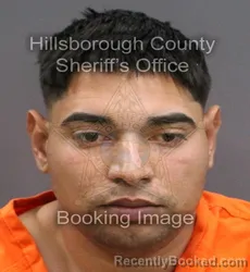 Mugshot of DANILO MATURELL COSTA