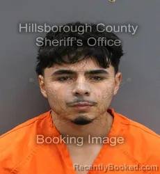 Mugshot of DAMIAN IBARRA