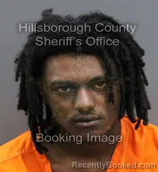 Mugshot of TONY LORENZO JR HART