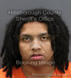 Mugshot of KRIS VARGAS RIVERO
