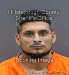 Mugshot of SERGIO CESAR PALOMARES