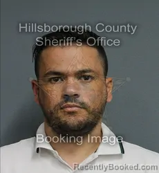 Mugshot of HECTOR SIERRA BORRELL