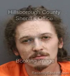 Mugshot of BRYAN ANTHONY WILSON