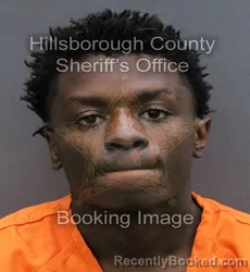 Mugshot of BRIAN EARL THOMAS