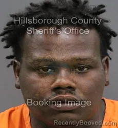 Mugshot of RAYMOND DONNELL JR WILLIAMS