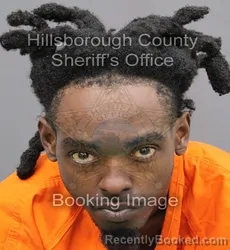 Mugshot of PIERRE LAMON THOMAS