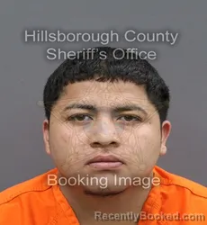 Mugshot of BRYAN JOSUE RAMOS VILLEGAS
