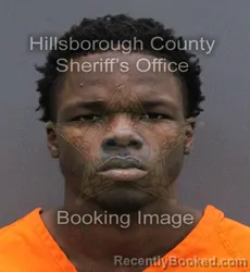Mugshot of REGAN TERRACE III HAMILTON