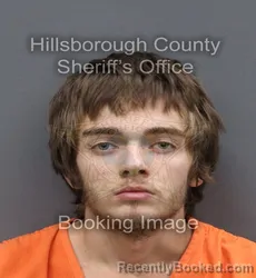 Mugshot of WILLIAM STUART MCFADDEN