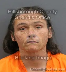 Mugshot of SARAH LYN BRIGUGLIO