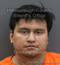 Mugshot of FERNANDO DOMINGO