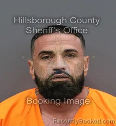 Mugshot of BRIAN CASTELLINO