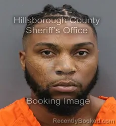 Mugshot of TYRESE SHEMAR WILLIAMS