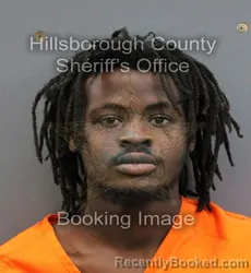 Mugshot of DEMETRIUS LEE