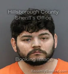 Mugshot of JOSE ALBERTO JR LECAROS
