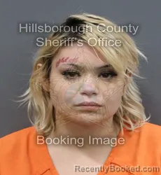 Mugshot of BRITTANY NICHOLE MILLER