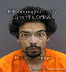 Mugshot of ORLANDO III GRAFALS