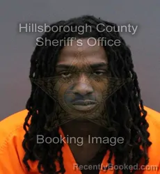 Mugshot of KEMANI SHAWN ELIAS PASSEE