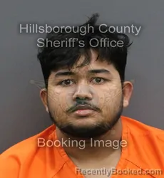 Mugshot of SADEK MAHMUD