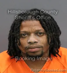 Mugshot of WARREN JR MINNS