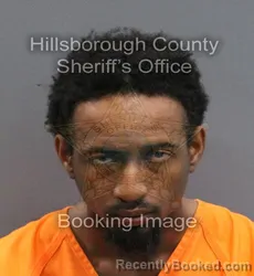 Mugshot of EVIN JENKINS