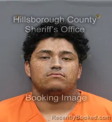 Mugshot of JOSE O ALVARADO
