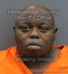 Mugshot of REGINALD DWAYNE SR BURNEY