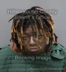 Mugshot of CHAVON TESHA NICOLE JOHNSON