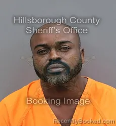 Mugshot of MICHAEL WESLEY JR HAMM