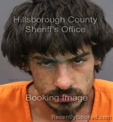 Mugshot of DRAKE MICHAEL THOMAS