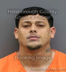 Mugshot of WILLIAM ONEILLS GONZALEZ ZAMOT