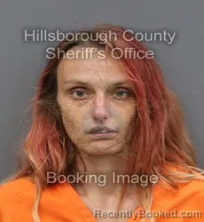 Mugshot of CIRSTEN NICOLE PORTER