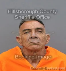 Mugshot of LUIS FERRERA TITO