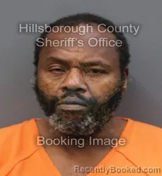 Mugshot of ROBERT ANTHONY LEWIS