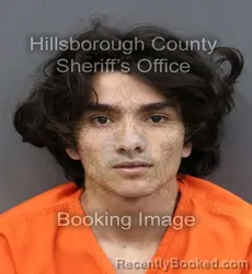 Mugshot of MAILOR JANIER SALAS GARRO