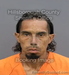 Mugshot of JULIO CESAR ROSARIO