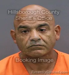 Mugshot of JOSE JESUS MIRELES NUNEZ