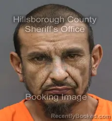 Mugshot of RAFAEL JR CARDOZA