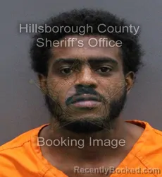 Mugshot of KELVIN MITCHELL