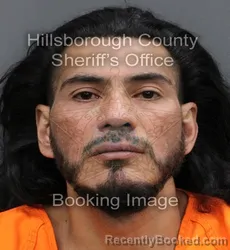 Mugshot of JOSE TIMOTEO FUENTES GUTIERREZ