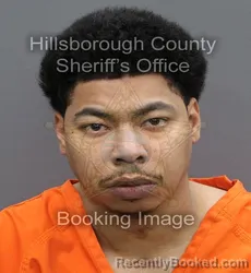 Mugshot of LEROY ALPHONSO JR HENRY