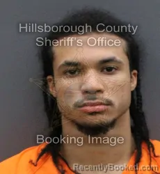 Mugshot of DIOVANNI OLYSSES COLLINS-CARRION