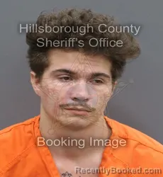 Mugshot of RONALD RAYMOND PLANTE