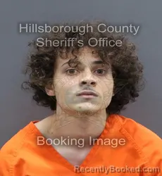 Mugshot of ARIK ODELL LANE