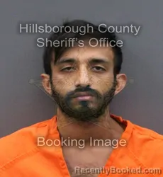 Mugshot of ALI ZARGHAM KHAN