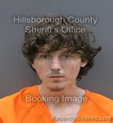 Mugshot of JACKSON MILLS