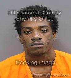 Mugshot of FREDDRICK ZAMOND COOK