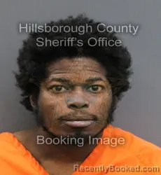 Mugshot of ERIC C III HENDERSON