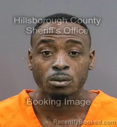 Mugshot of EDJARICK QUANTAZIS JOHNSON